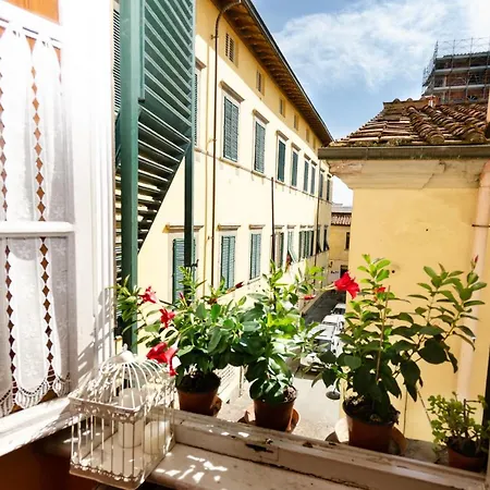 Anna * Lucca